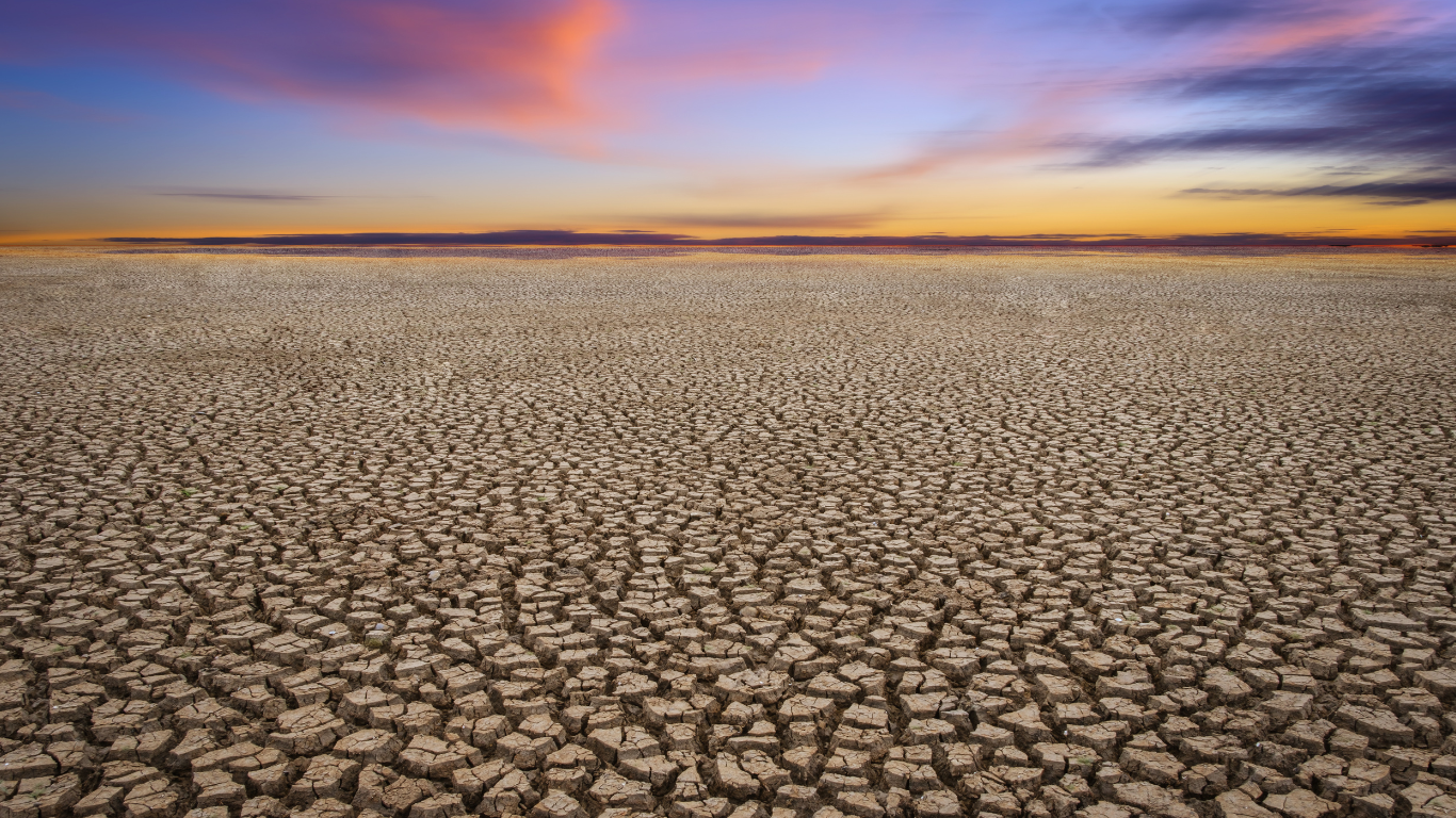 Climate Change and Agriculture: Adapting to a New Reality